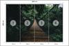 Photomural Suspension Bridge In A Forest Smooth Vinyl 400x280