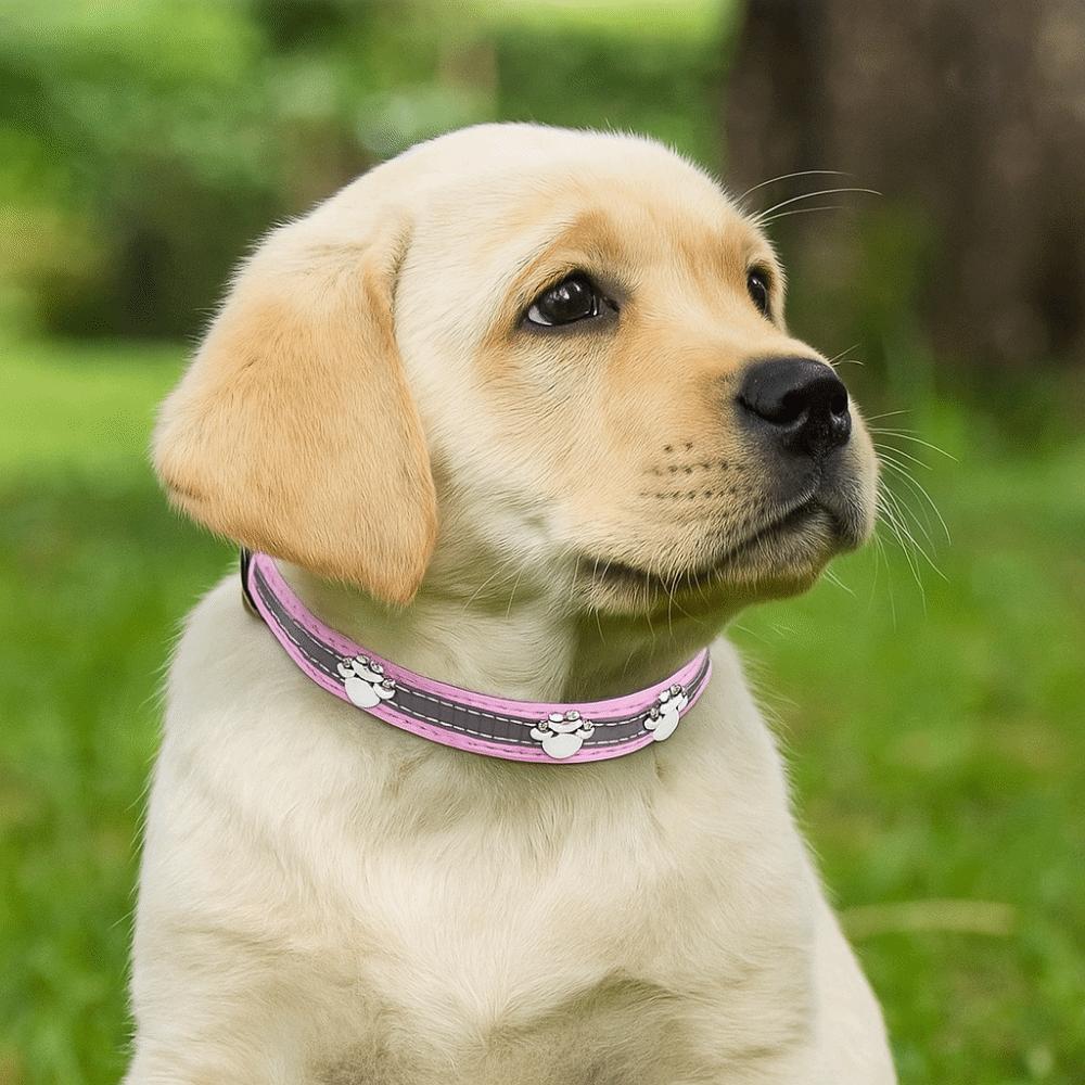 Adjustable Reflective Dog Collar Leather Dog Footprint Collar  Pet Daily Necessities
