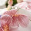 Tangna Heimtextilien Reines Baumwoll-Bettwäscheset 4-teilig - Elegante Blumenmuster