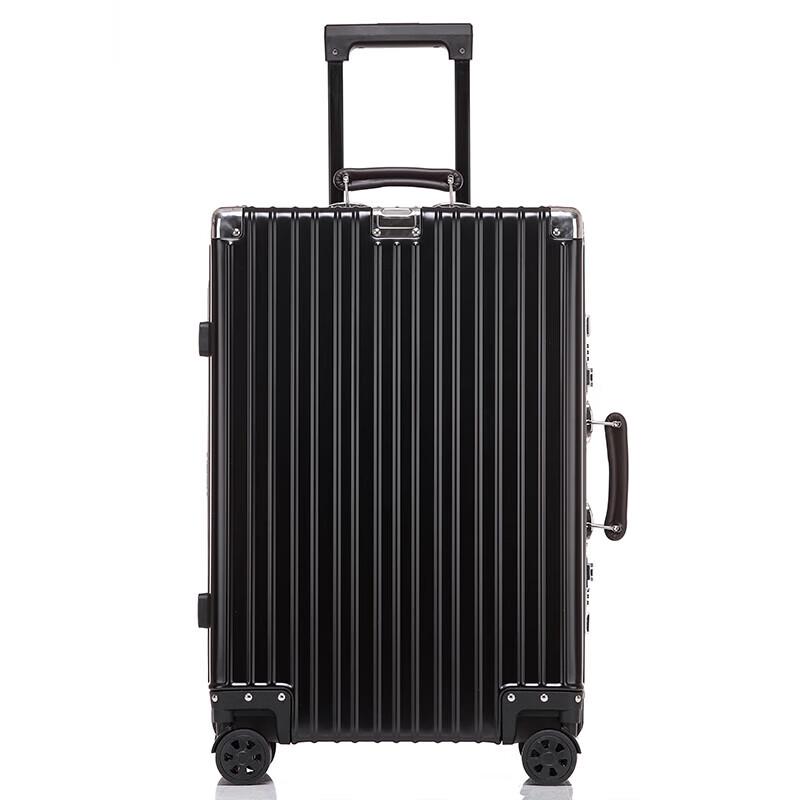 Batiannu F289 ABS Hardside Spinner Luggage