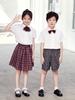 Shenzhen School Uniform Summer Set for Primary Boys & Girls: Short-Sleeved Shirt, Plaid Pants, Skirt, Short Skirt, and Bow Tie