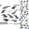 Meereslebewesen Beluga Wal Und Wal Nachbildung Modell Set PVC Spielzeug Für Aquarium Dekoration