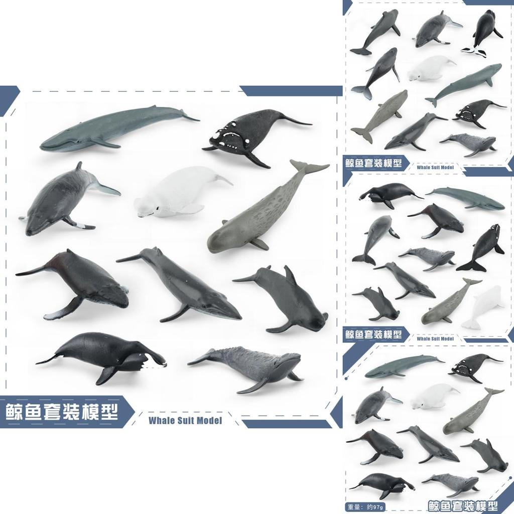 Meereslebewesen Beluga Wal Und Wal Nachbildung Modell Set PVC Spielzeug Für Aquarium Dekoration