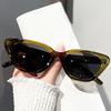 Retro Small Oval Frame Macaron Pattern Tendy Sunglasses Women Men Vintage