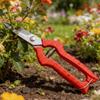 Pack Of 2 Stainless Steel Fruit Picking Scissors Portable Pruning Tool For Gardening And Pruning With Ergonomic Handle