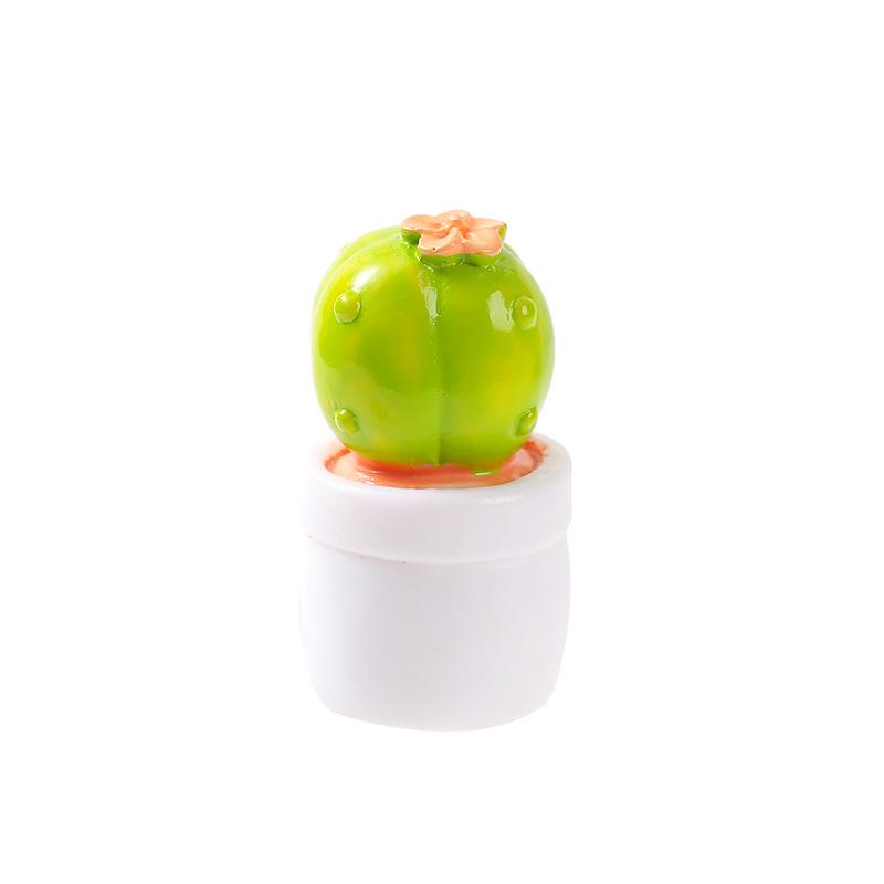 Mini Cactus & Succulent DIY Decor Set for Desktop & Car