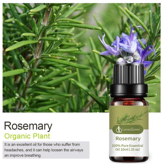 10ML Rosemary Essential Oil Moisturizing Rosemary Single Massage Oil for Beauty