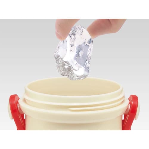 Skater Children's Water Bottle, 480ml, Direct Drinking, Plastic, One-Touch Operation, Dishwasher Safe, Made In Japan, Bread Thief Design, for Boys and