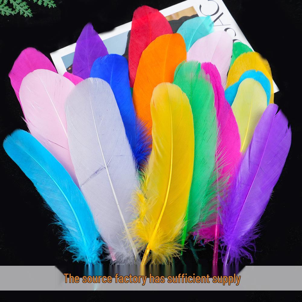 50 Colored Goose Feathers for DIY Dreamcatchers and Art Projects