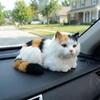 Cartoon Simulation Cat Doll Cozy Fluffy Desktop Decoration Realistic Kitten Decoration  Collectible