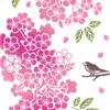 JIKAN STYLE Tenugui Hand Made in Souvenir for Traditional Cherry Sakuragawa Castle Cherry Cherry 35 x Ships via 50305 50306 Cherry Towels, Stylish,