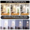 Battery Operated Wall Sconce Set of 2,Gold Rechargeable Wall Lights with 2500mAh Dimmable Detachable Bulbs and Remote