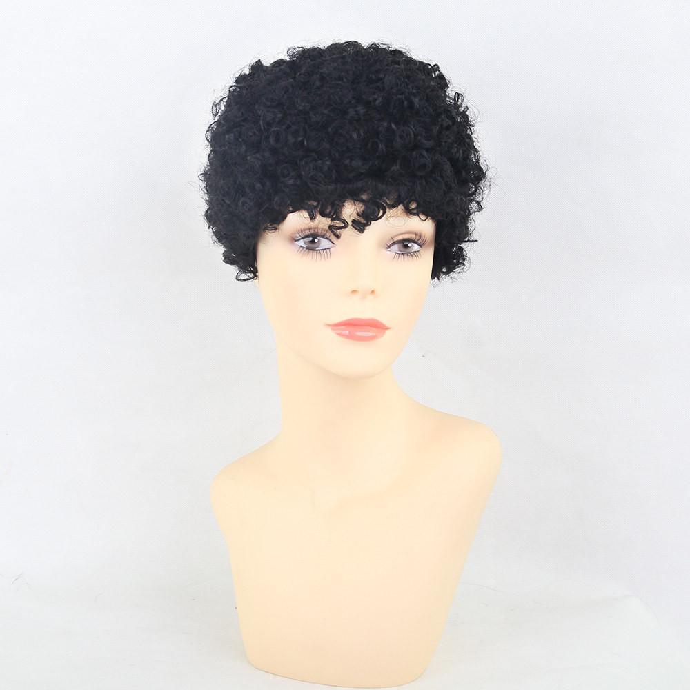 1 Pc Zhenshin Korotkie Perednie Figurnye Pricheska Sinteticheskie Pariki Volos Dlya Chernokozhih Zhenshin Kupit Po Nizkim Cenam V Internet Magazine Joom