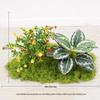 Artificial Green Money Tree Display: Indoor Landscaping & Decoration