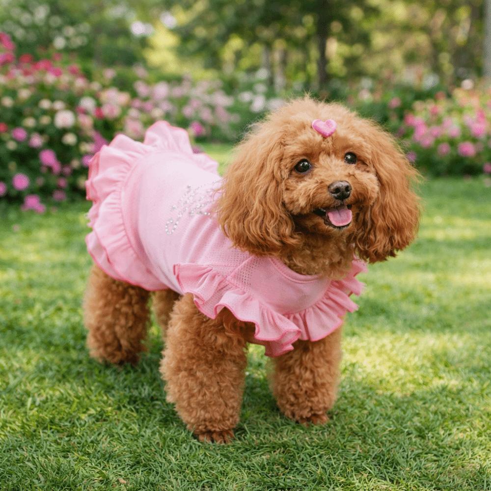 Lotus Leaf Edge Pet Base Dress Lover Pattern Dog Skirt Shirts Spring Autumn Season