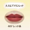 CEZANNE Lasting Lip Color N 407 Rot 4.6g