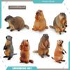 Wild Animal Models: Handmade Groundhog, Squirrel, and Chipmunk Forest Ornaments