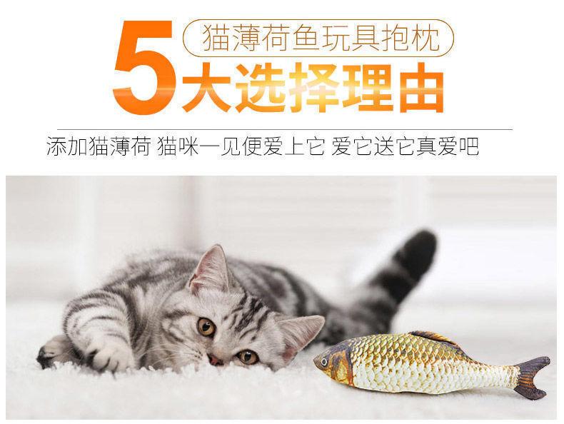 Catnip Fish Teasing Cat Toy Teeth Grinding Kitten Self Fun Relief Doll Puppetry Supplies