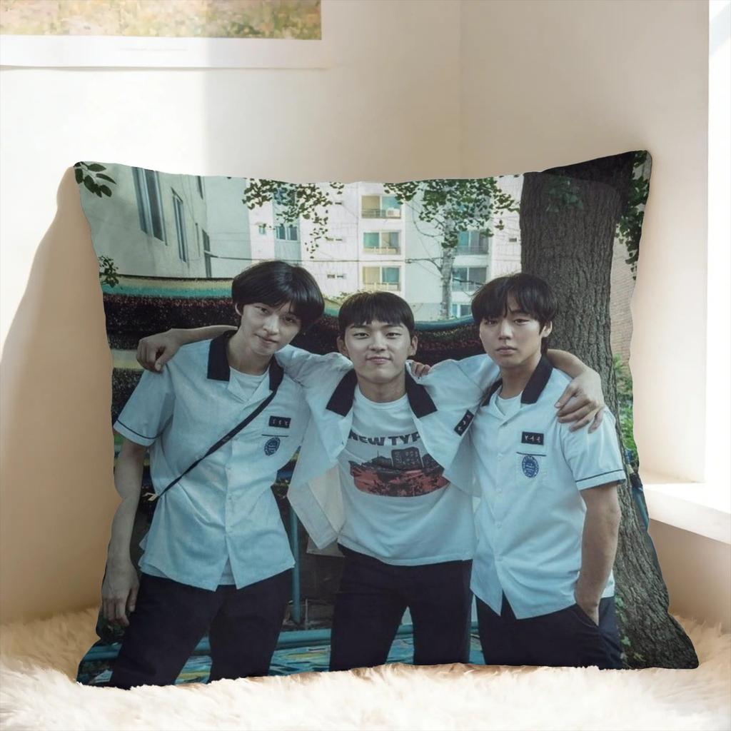 Hot Kdrama Weak Hero Class Pillow Case Funny Pillow Cover Soft Pillowcases For Couch Sofa Bedroom
