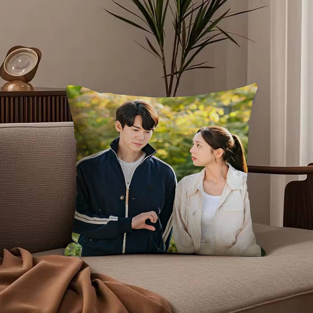 W-When the P-Phone R-Rings TV Pillow Case Anti-dustmite Pillowcase Invisible zipper silky short plush Sofa cushion cover