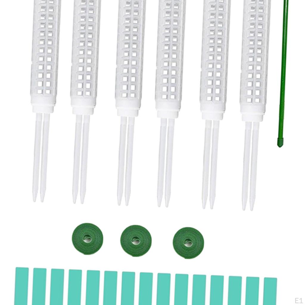 Poteaux en mousse pour plantes grimpantes, accessoires d'assemblage faciles, piquets renforcés pour plantes