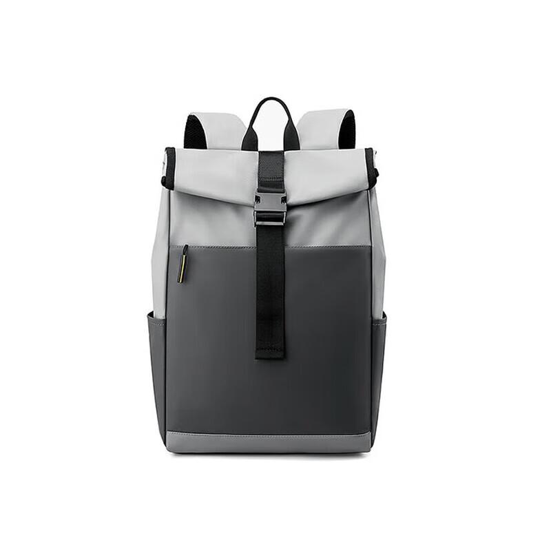 SWEGEAR+ Business Laptop Backpack
