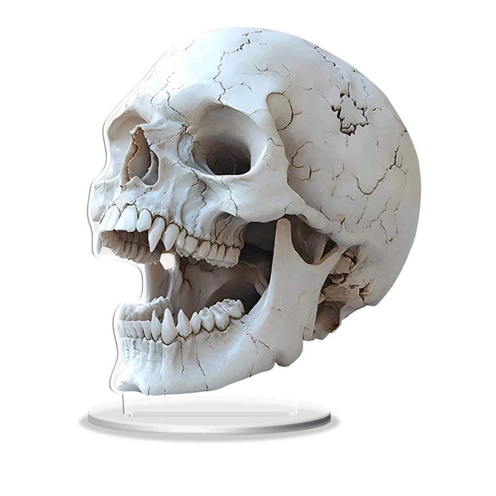 Acrylic Ornament Durable Acrylic Decoration Skull Acrylic Sign for Cabinet Mantel Decor Elegant Bedroom Design for Halloween