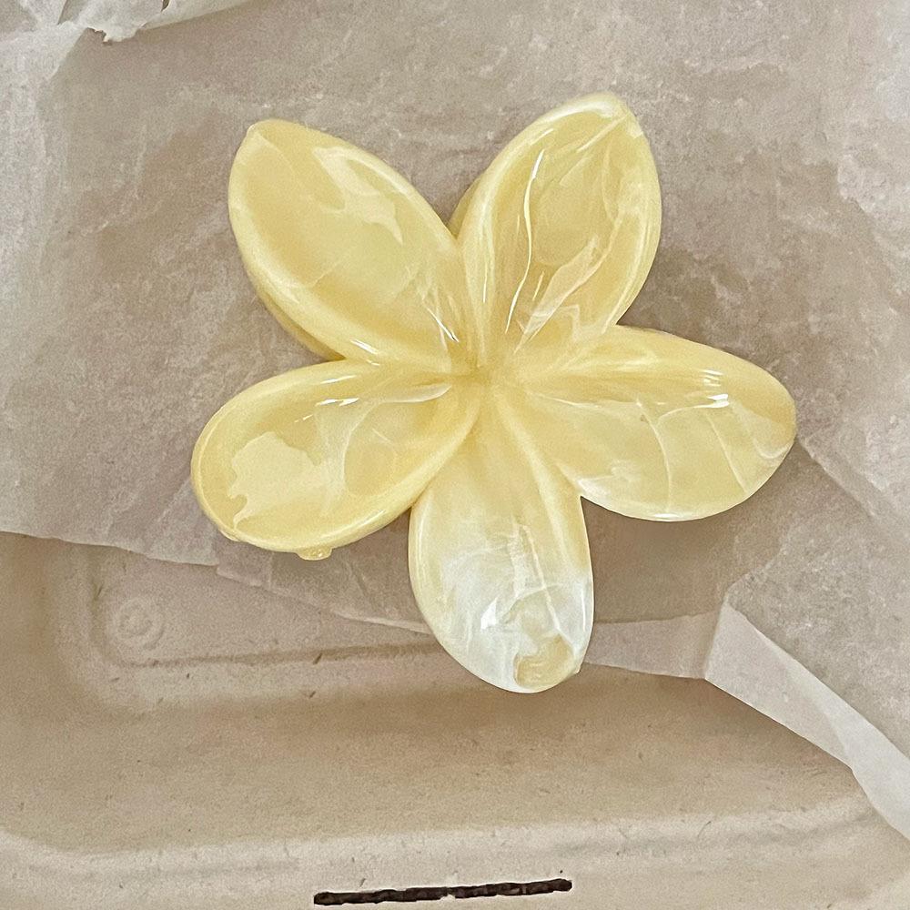 2Pcs Sweet Large Hair Claw Clip Hairwear Bobo Flower Acrylic Horsetail Clip Hairpin Summer Beach Vacation Hair Accessories