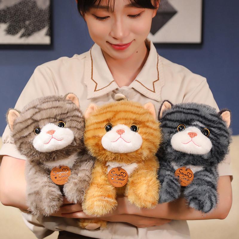 Cat Plush Cute Toys Cartoon Girl Children Bedroom Decoration Presents Dolls