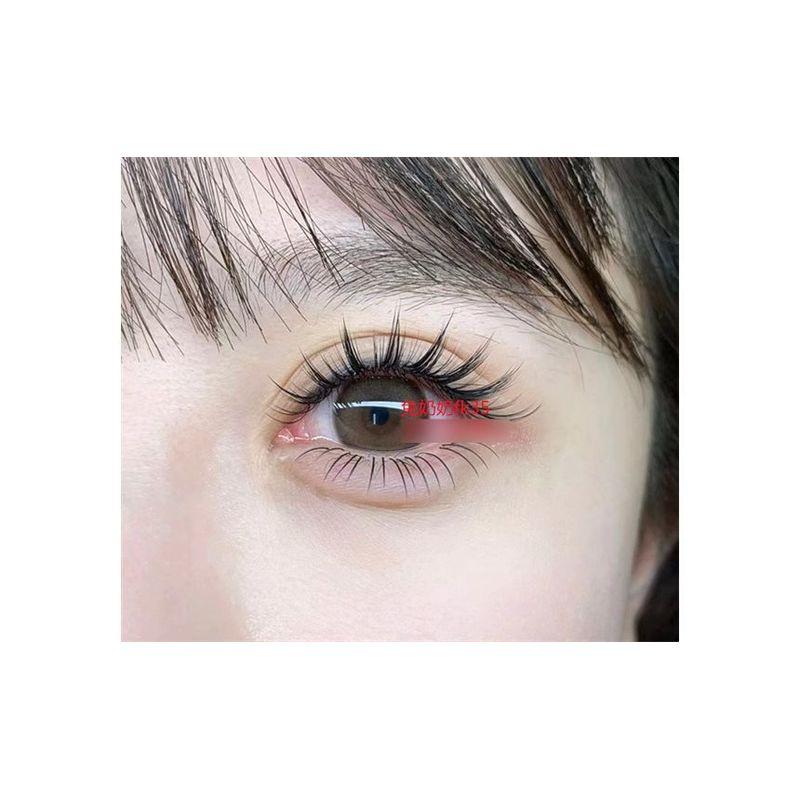 Mogugu - Set of 5 Pairs: Doll Eye Spiky False Eyelashes