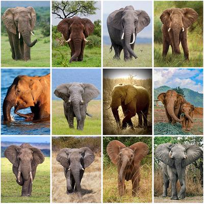 Elefant DIY 5D Diamant Malerei voller Runde Bohrer Tier Diamant Stickerei Kreuzstich Mosaik Kits Wand Kunst Wohnkultur