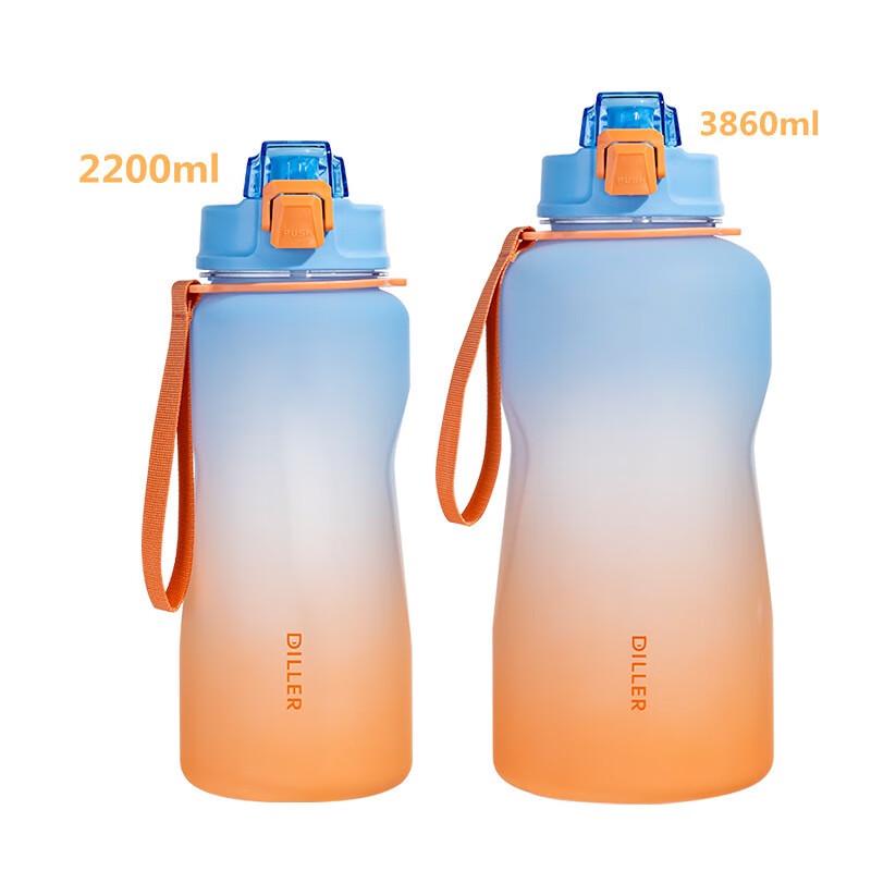 

Diller Large Capacity Gradient Frosted Straw Water Bottle