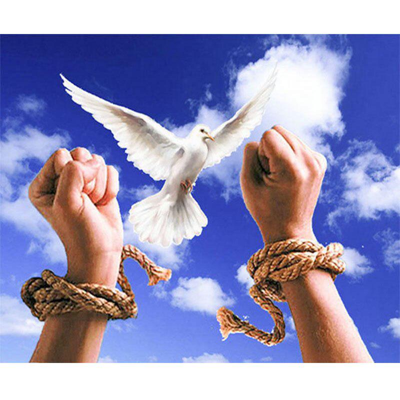 5D DIY Алмазная вышивка Алмазная живопись Пейзаж Белый голубь Вышивка крестом Домашний подарок 20X30CM