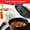 TEFAL INGENIO Lot 6 Pièces, Induction, Fonte Aluminium, Antiadhésif, Poêle, Cocotte, Couvercle Fonte + Verre, Inspiration L867S604