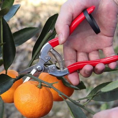 Plant Trim Horticulture Fruit Scissor Garden Hand Pruners Tool Branch Shear Orchard Pruning Shears Gardening Tools Fruit Shears