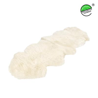 Carpets & Rugs – Rugs & Mats