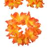Cute Hawaiian Necklace Costume Set Beach Accessory Adjustable Set Headband Dancewear Glasses for Adults Party
