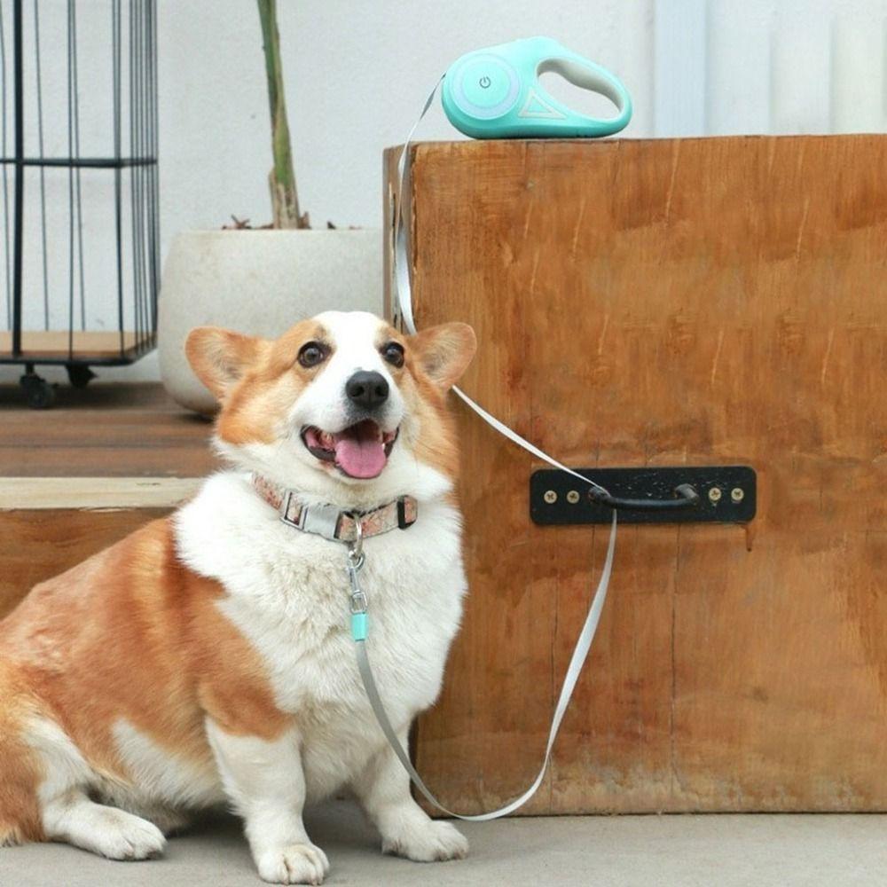 Nylon LED Luminous Dog Leash Non-Slip Handle Pet Traction Rope Pet Walking Leads Night Outdoor