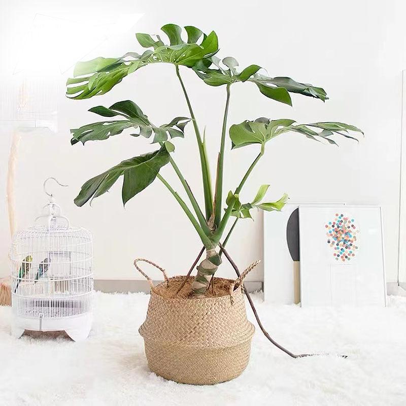 Nordic flower basket, portable woven basket, flower pot, straw woven, bamboo woven, plant woven, floor-standing folding straw wo