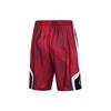 Li-Ning Basketball Loose Shorts Men Bottoms Brick-Red AAPP281-2