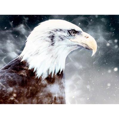Diamond Painting Eagle Animal Full Drill Diamond Embroidery Animal Pictures Rhinestones Cross Stitch