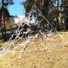 High Detail Realistic Large Spiders Halloween Decoration For Haunting House Bar Event And Horror Themed Party Setups