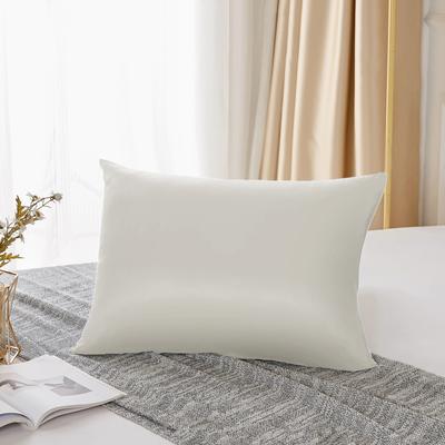 25 Momme  Natural Mulberry Silk Pillowcase,Both Sided Pure Silk Pillow Cover Gifts for Women,Pure Silk Pillowcsae For Hair