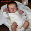 49cm Realistic Finished Boy or Girl Full Vinyl Body Bebe Reborn Doll LouLou Handmade Cloth Body Surprise Figure Toys for Girls Birthday Christmas Gift