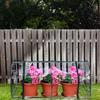 120x60x48cm Kashoes Warm Plastic Folie Warm Huis Regenbestendige Buitenhoes voor Tuinplanten met 2 Ritsen