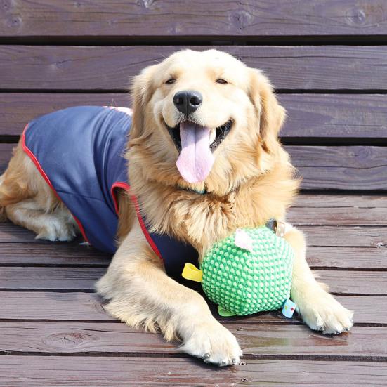 Dogs Sound Ball Puppy Toy Ball with Built-in Bell Chew-Friendly Toss And Fetch Ball for Dogs Training Interactive Play Boredom Relief