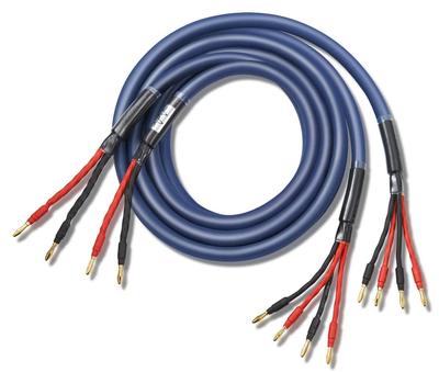 WYVERN AUDIO Extra dickes Reinkupfer mit Bananensteckern Komplettes Produkt HIFI-Verbindung Lautsprecherkabelset LR-Set [Bi-Wiring] ultrahoch 12-adrig