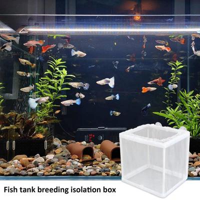 Fish Breeder Box With Suction, Aquarium Hatcher, Mesh Box, Juvenile Fish Separation Net With Suction Cups Fish Tank Incubator