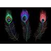 Plateau - DKD Home Decor - Noir - PVC - LED - Design Plumes