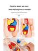 DIY Human Organ Model Kit: STEM Science Toys for Kindergarten Early Education